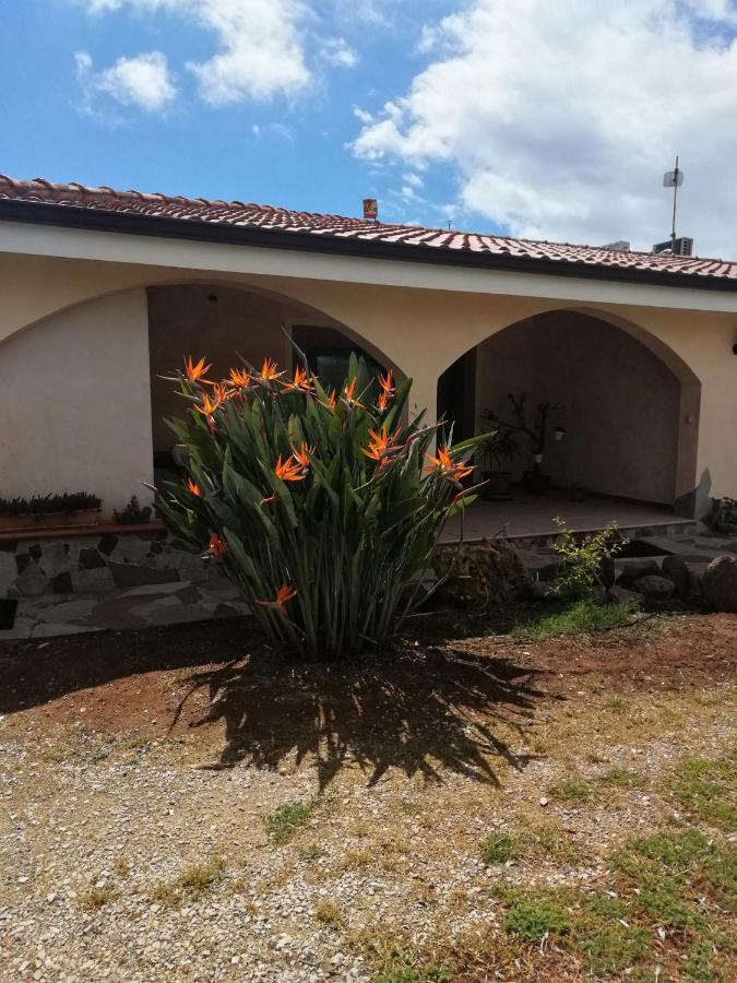 Da Patrizia Bed and Breakfast Alghero Eksteriør billede